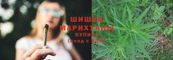 бутират Белокуриха