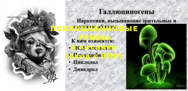 бутират Белокуриха