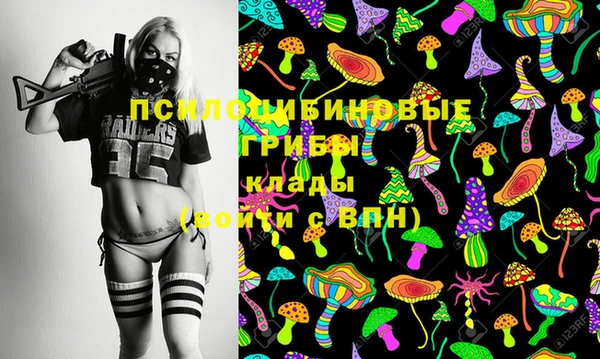 бутират Белокуриха